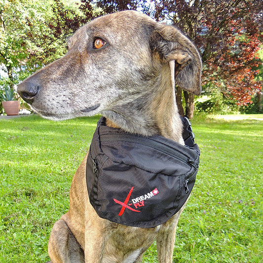 X-dream Fly Hip-Bag - Sky Riders - Image 1