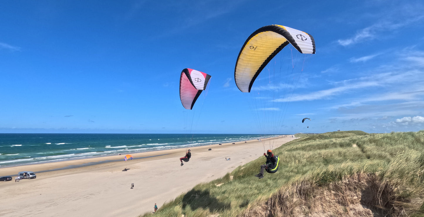 Phi Rowdy