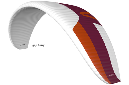 Skywalk X-ALPS 6