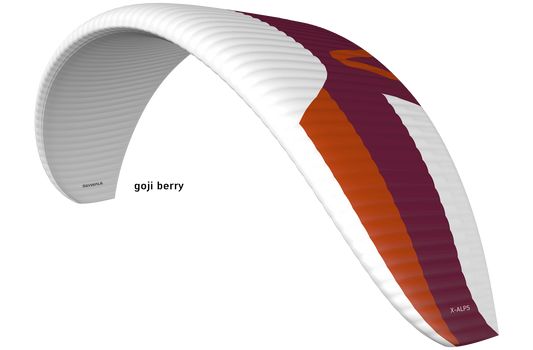 Skywalk X-ALPS 6