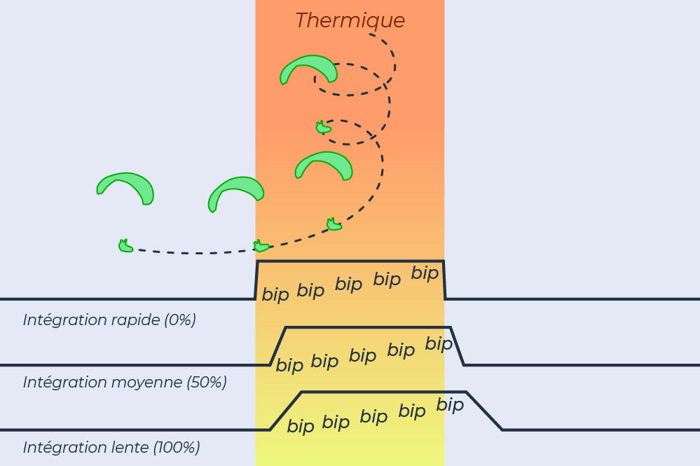Stodeus UltraBip - Sky Riders - Image 8