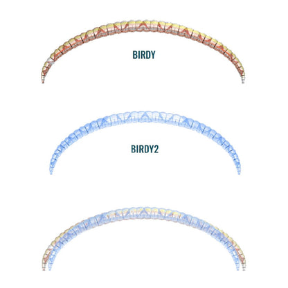 Supair BIRDY 2 - Sky Riders - Image 18